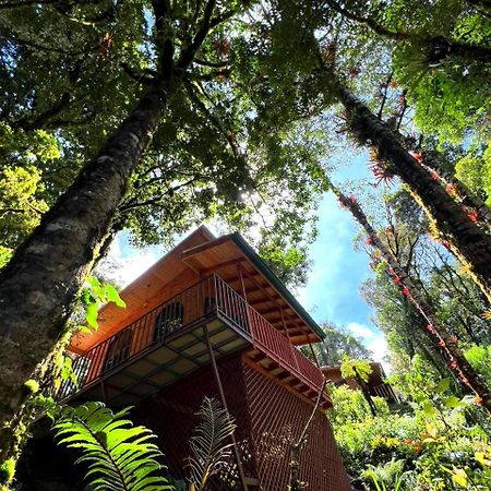 Cabana Anturios San José Eksteriør billede