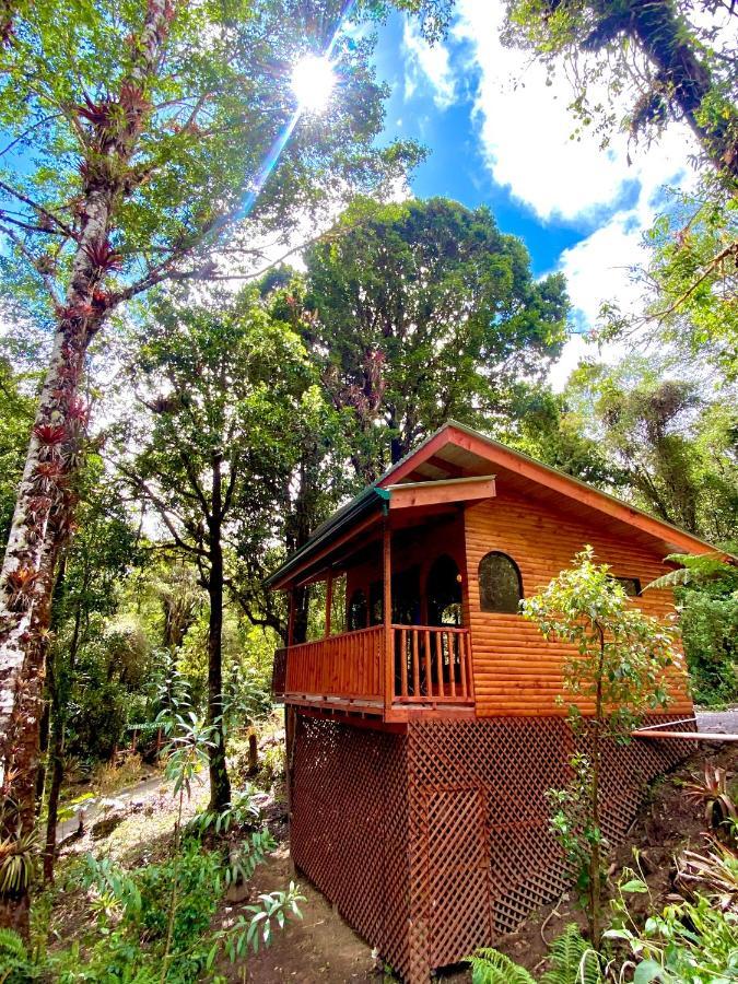 Cabana Anturios San José Eksteriør billede