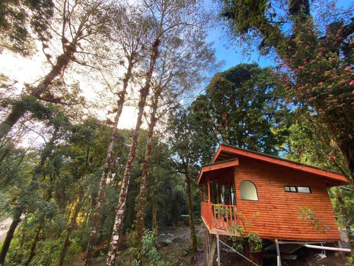 Cabana Anturios San José Eksteriør billede