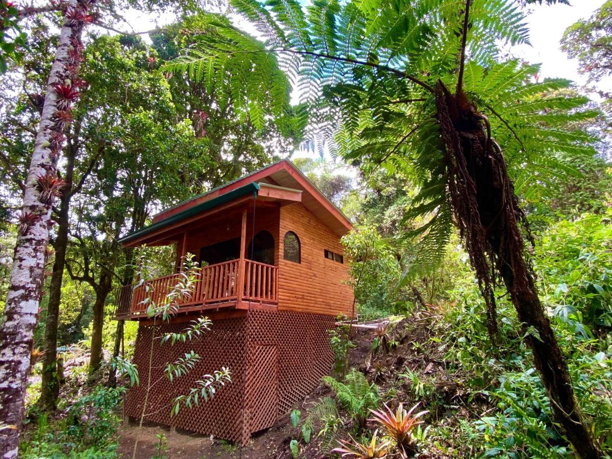 Cabana Anturios San José Eksteriør billede