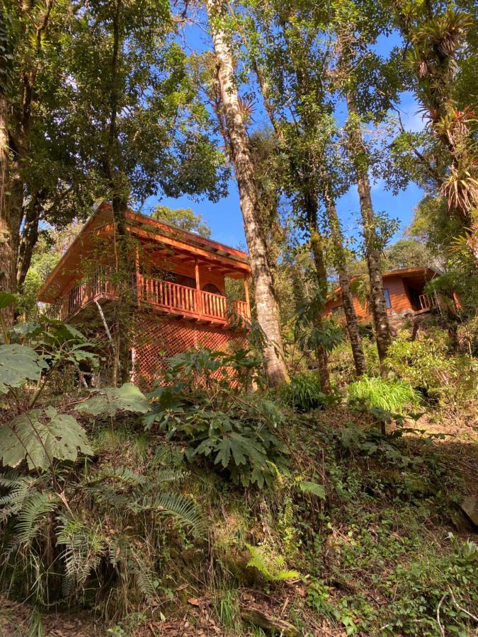 Cabana Anturios San José Eksteriør billede