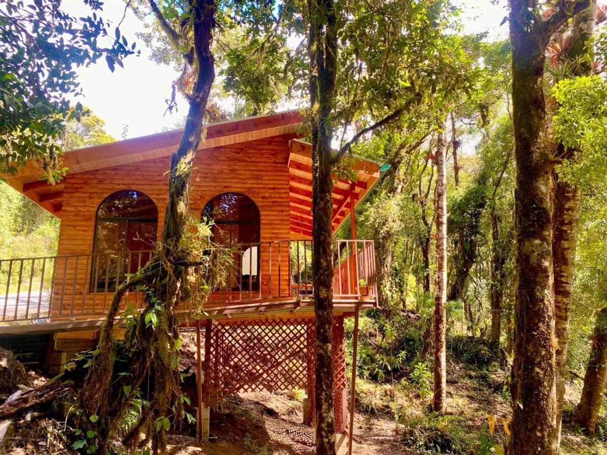 Cabana Anturios San José Eksteriør billede
