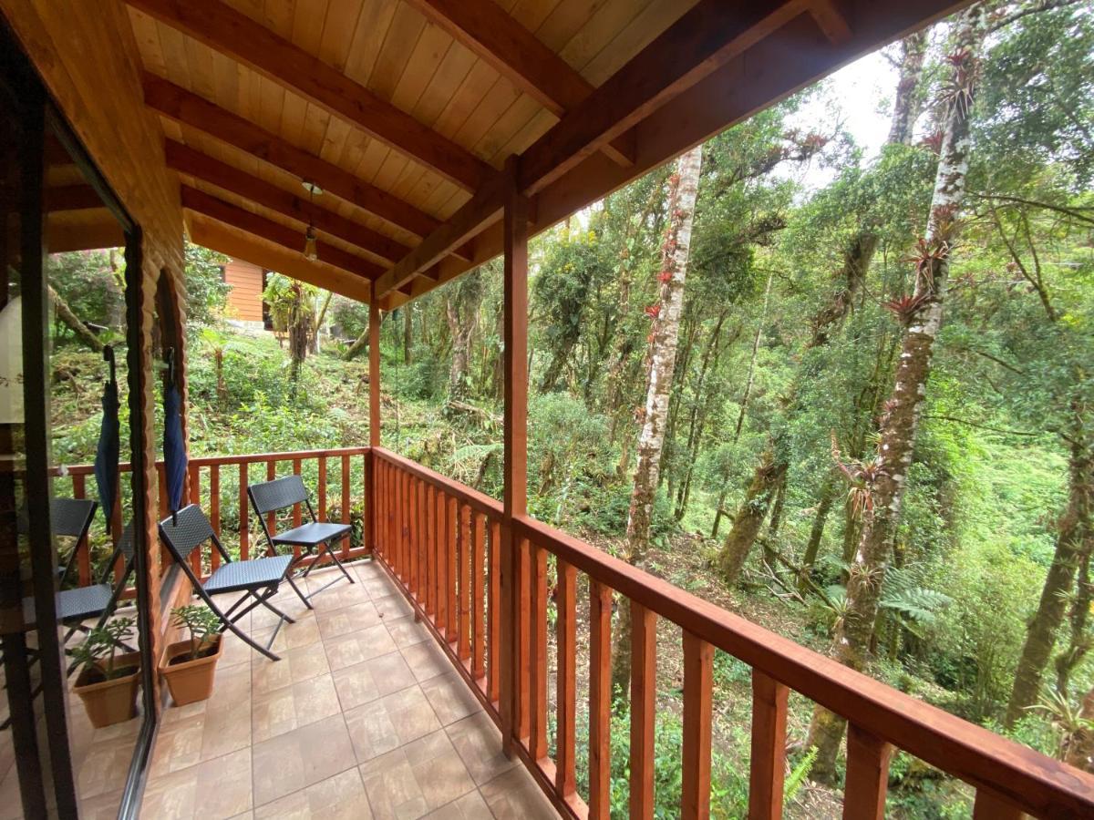Cabana Anturios San José Eksteriør billede