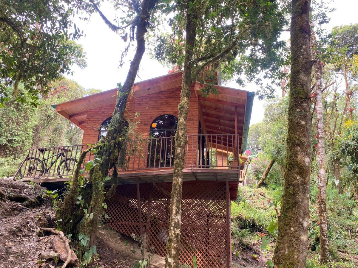 Cabana Anturios San José Eksteriør billede