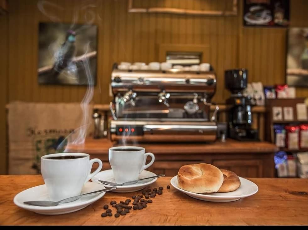 Cabana Anturios San José Eksteriør billede