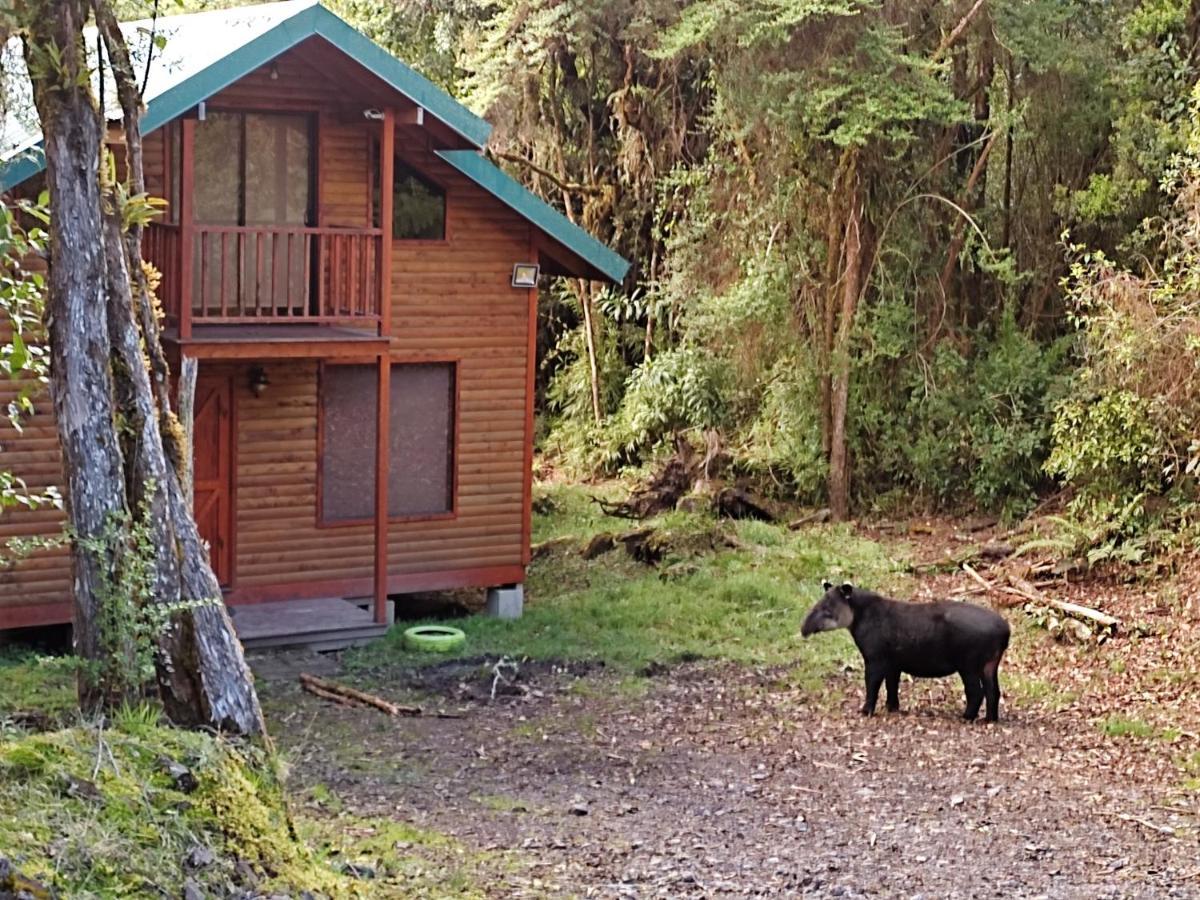 Cabana Anturios San José Eksteriør billede