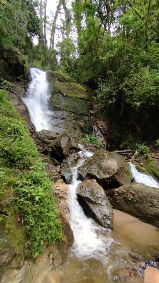 Cabana Anturios San José Eksteriør billede