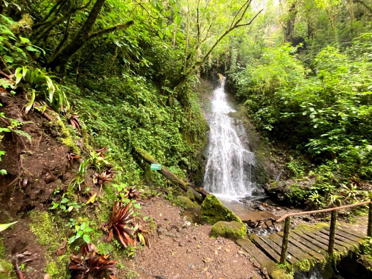Cabana Anturios San José Eksteriør billede