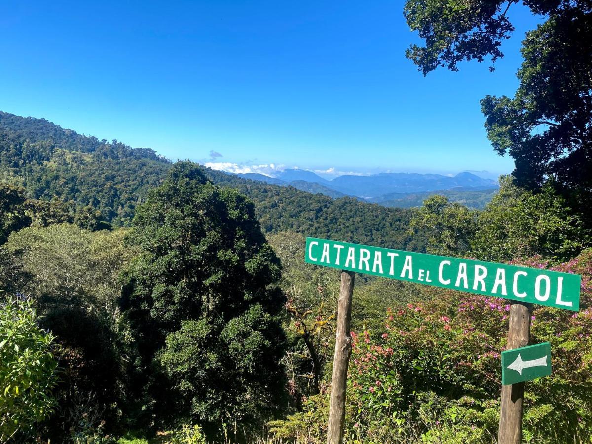 Cabana Anturios San José Eksteriør billede