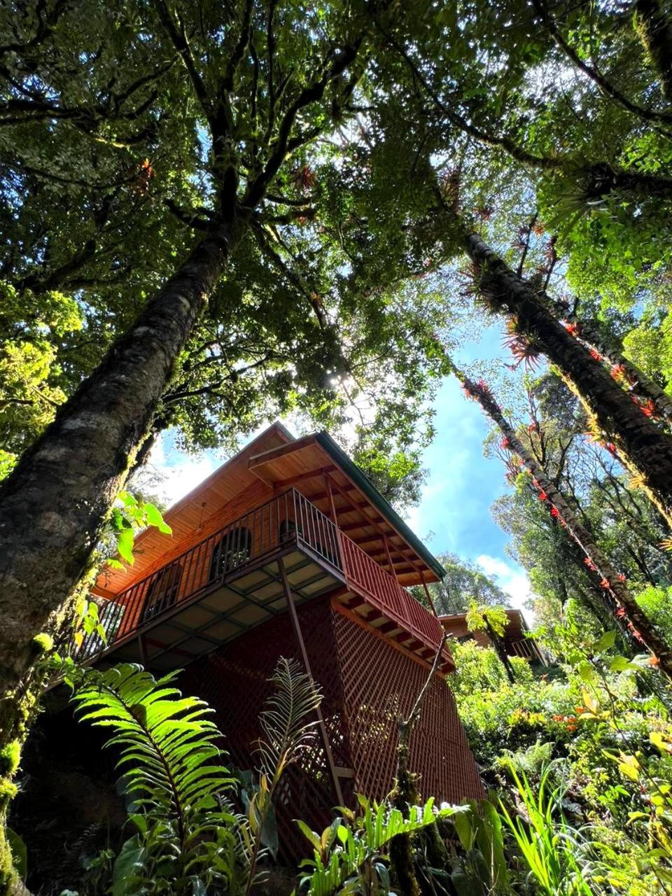 Cabana Anturios San José Eksteriør billede