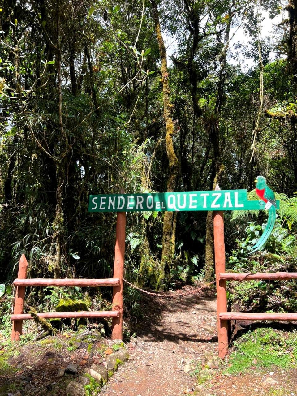 Cabana Anturios San José Eksteriør billede