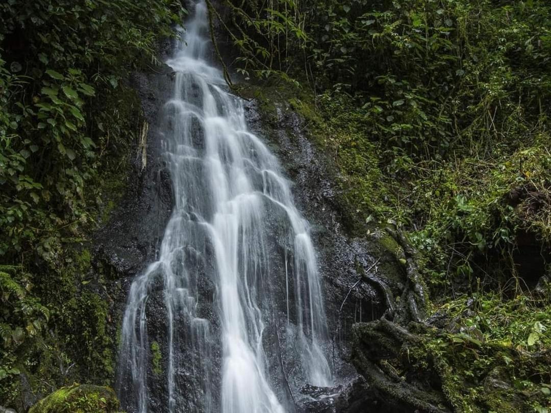 Cabana Anturios San José Eksteriør billede