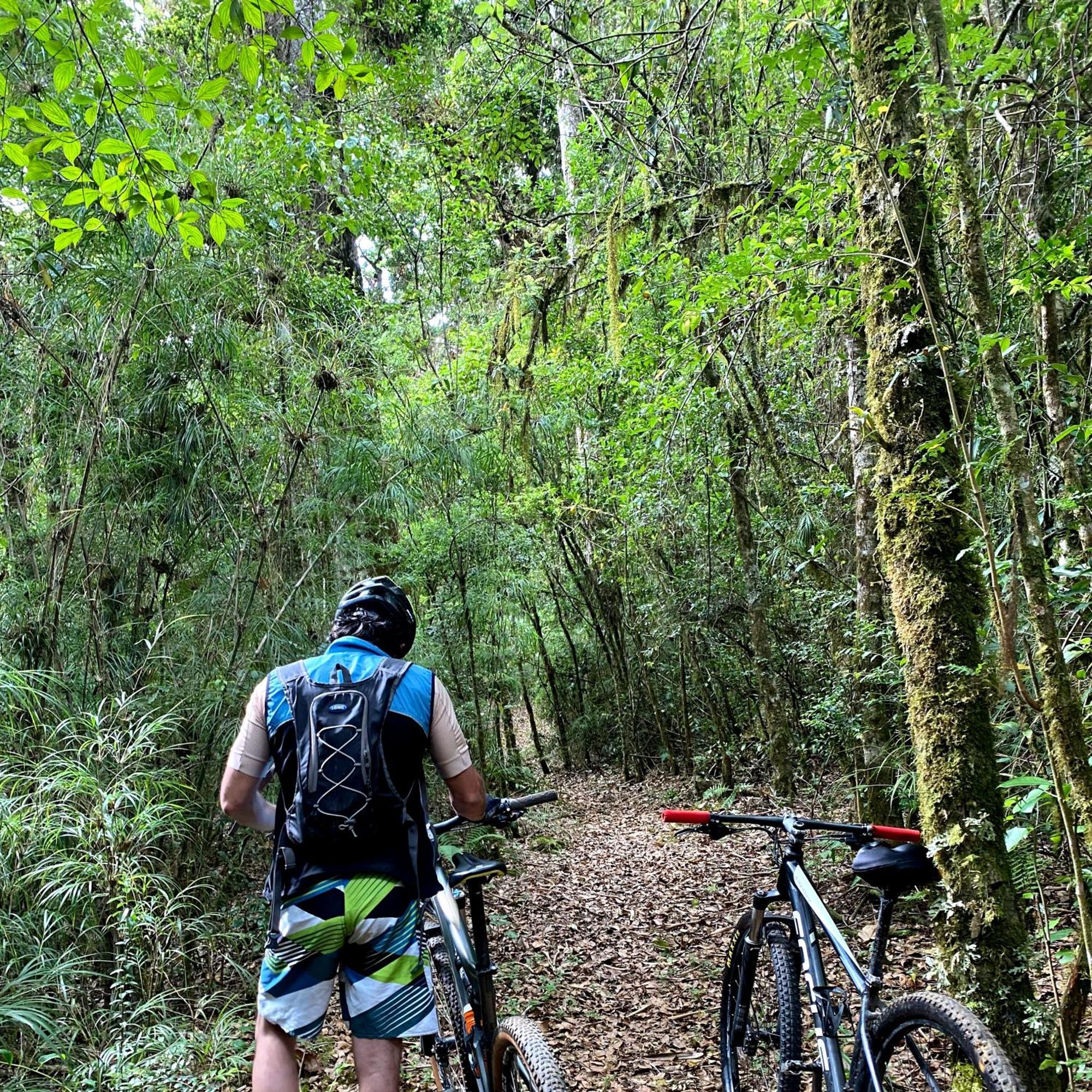 Cabana Anturios San José Eksteriør billede